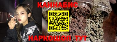 крисы Новозыбков