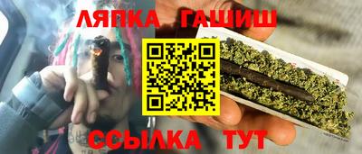 крисы Новозыбков