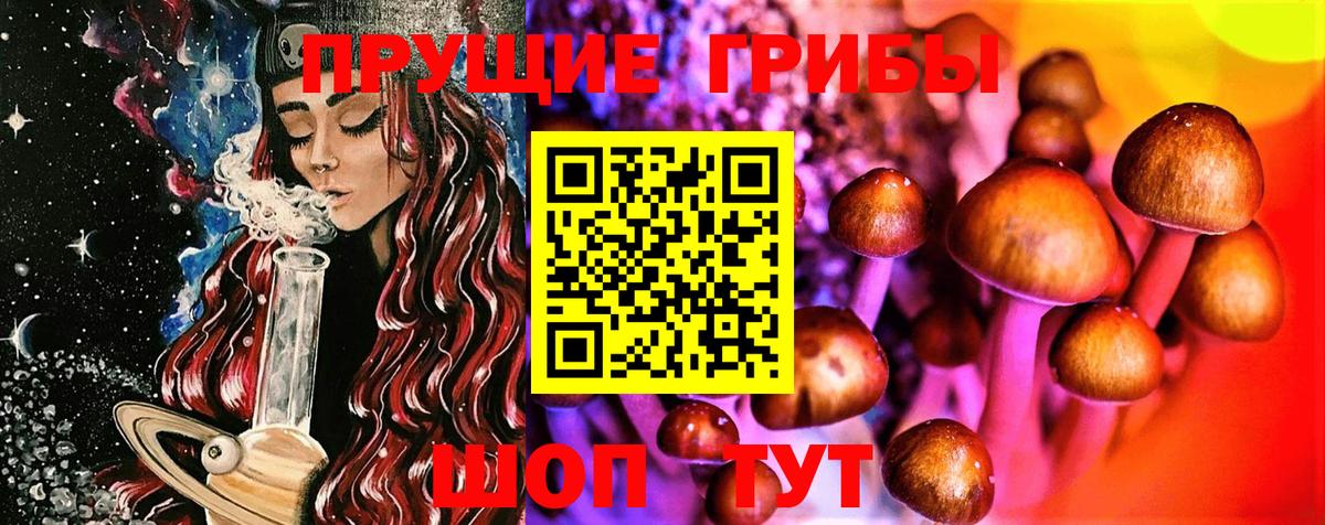 Солнечногорск  Галлюциногенные грибы прущие грибы  Вход с VPN 
